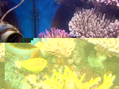 DSCN3935.JPG