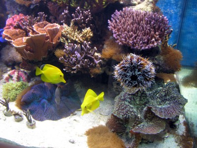 DSCN3937.JPG