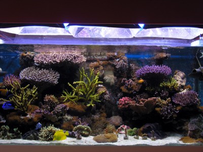 DSCN3957.JPG