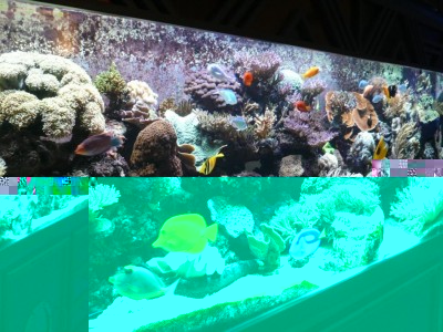 P1030226.JPG (162.26 Kio) Consulté 9751 fois août 2009