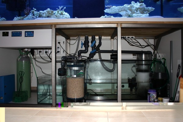 aquarium le 22.11.11 004 - Copie.JPG