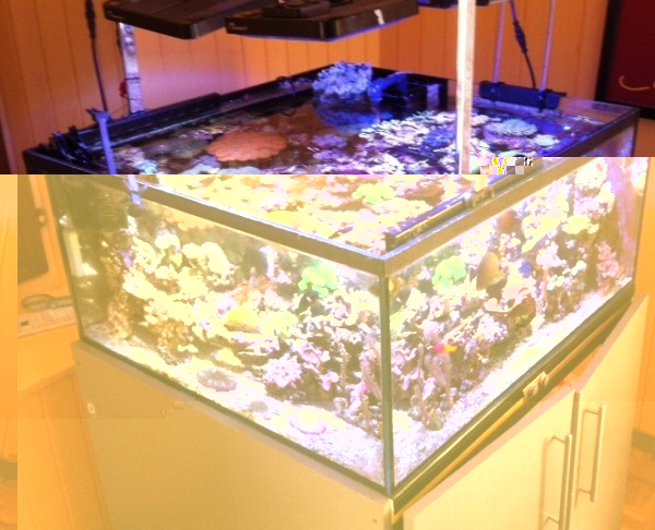 image.jpg (152 Kio) Consulté 76158 fois image.jpg