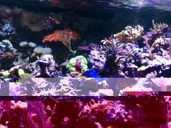 image.jpg (159.8 Kio) Consulté 75716 fois image.jpg