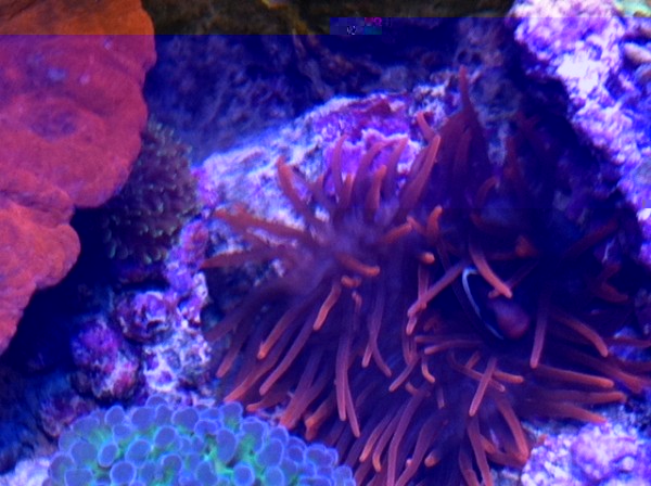 image.jpg (122.78 Kio) Consulté 76654 fois image.jpg