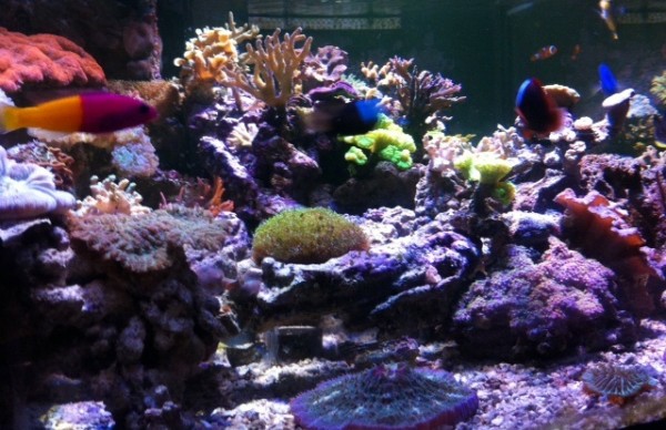 image.jpg (138.76 Kio) Consulté 75199 fois image.jpg