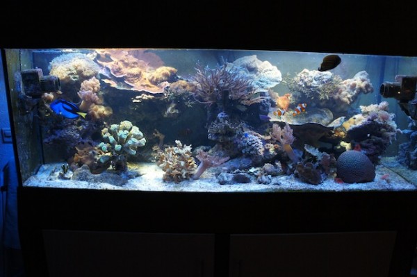 Bac1.jpg (98.63 Kio) Consulté 58811 fois Bac1.jpg