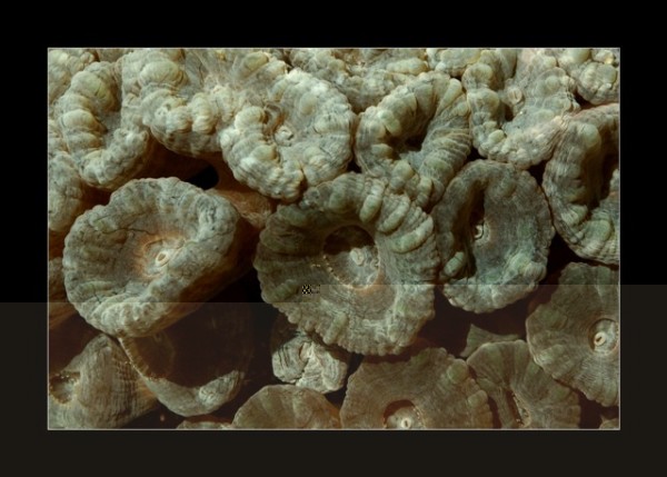 PICT0019.JPG