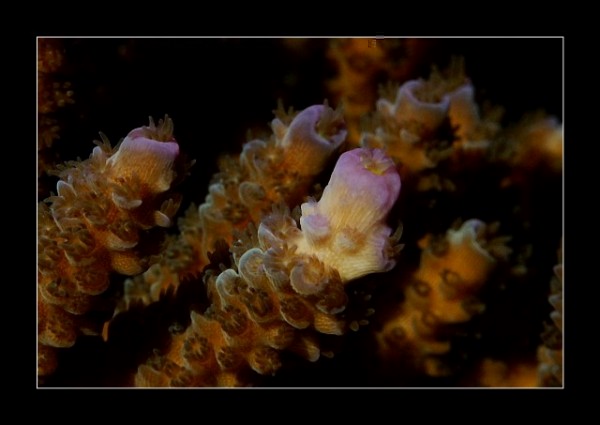 PICT0013.JPG
