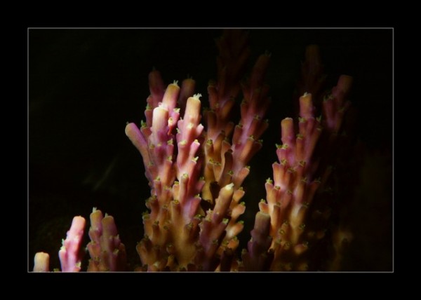 PICT0011.JPG