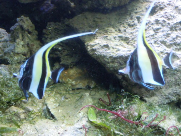 DSCN1095.JPG