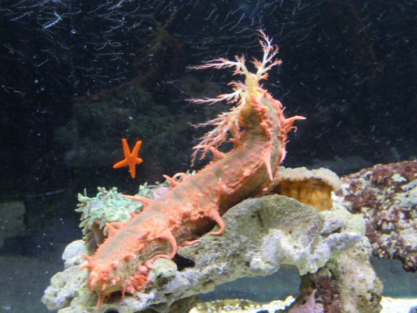 DSCN1136.JPG