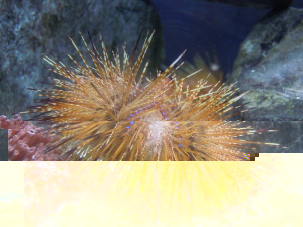 DSCN1140.JPG