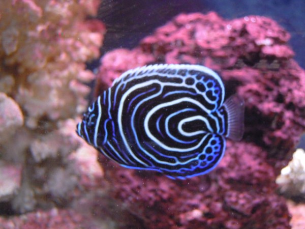 DSCN1158.JPG