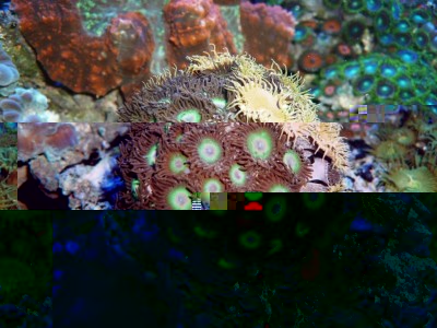 P1030254.JPG (166.03 Kio) Consulté 10681 fois Août 2009