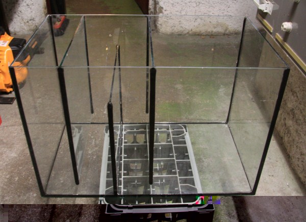 IMG_1290 (600 x 435).jpg