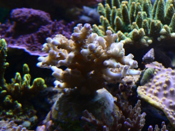 p1090715.jpg