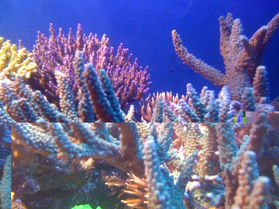 IMG_0480.JPG
