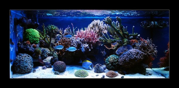 PICT0043.JPG