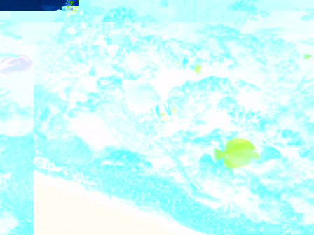 Photo iphone 3 111.jpg