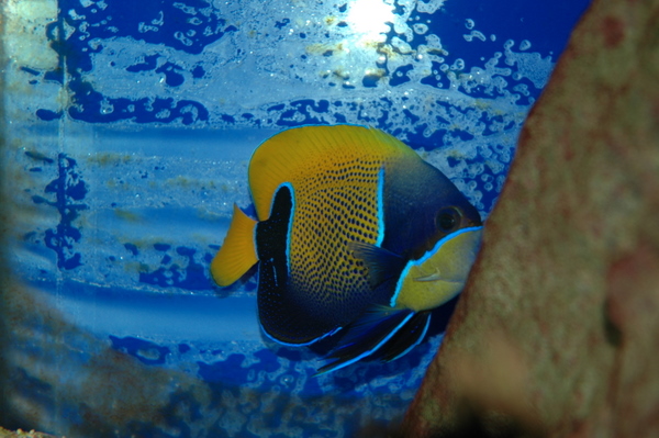 DSC_0307.JPG