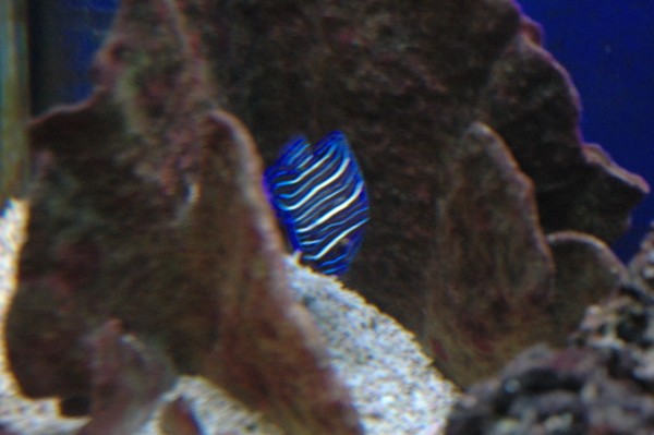DSC_0352.JPG