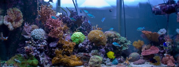 Aqua100102.jpg